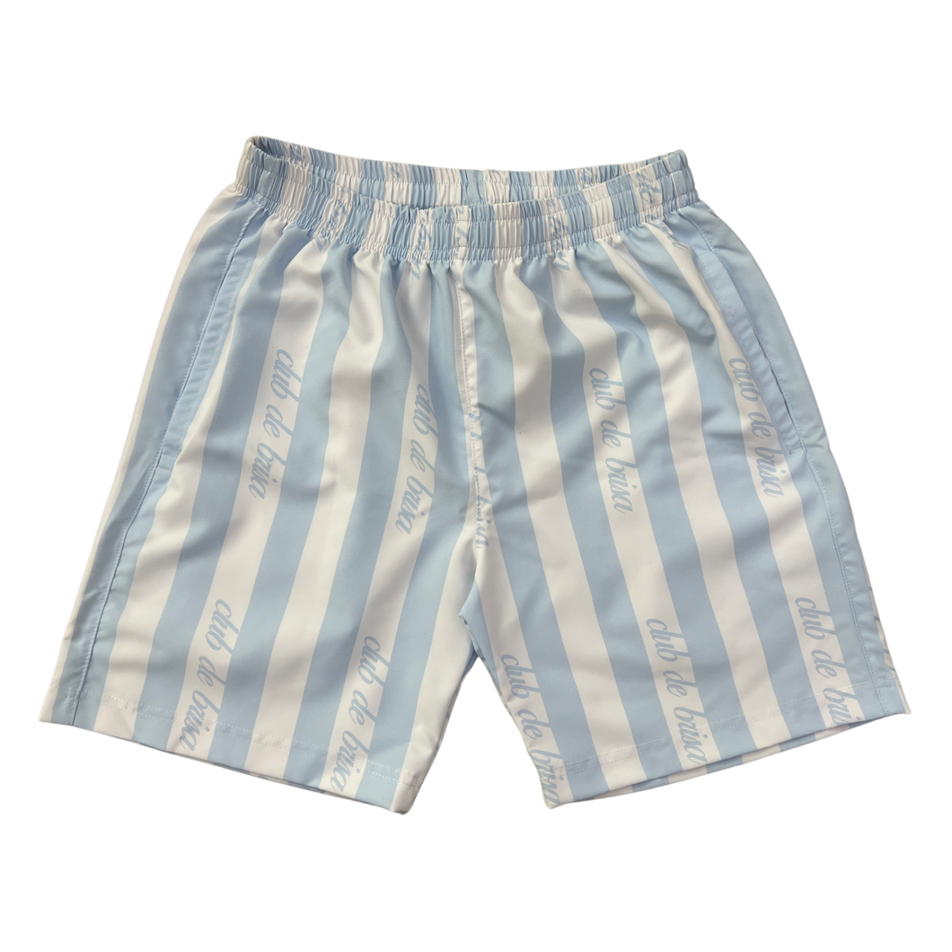 STRIPE BLUE SWIM SHORTS